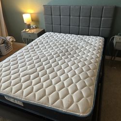 Bed Frame, Mattress And Box Spring