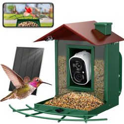 Bird Feeder With Camera 