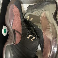 Size 12.5 Jordan 12 Retro SP