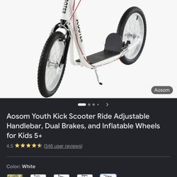 Kick Scooter 