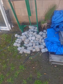 Free Concrete Dobies