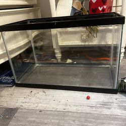 20" x 10" x 12" 10 Gallon tank