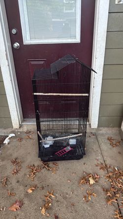 Large Black Bird Cage with Open Top