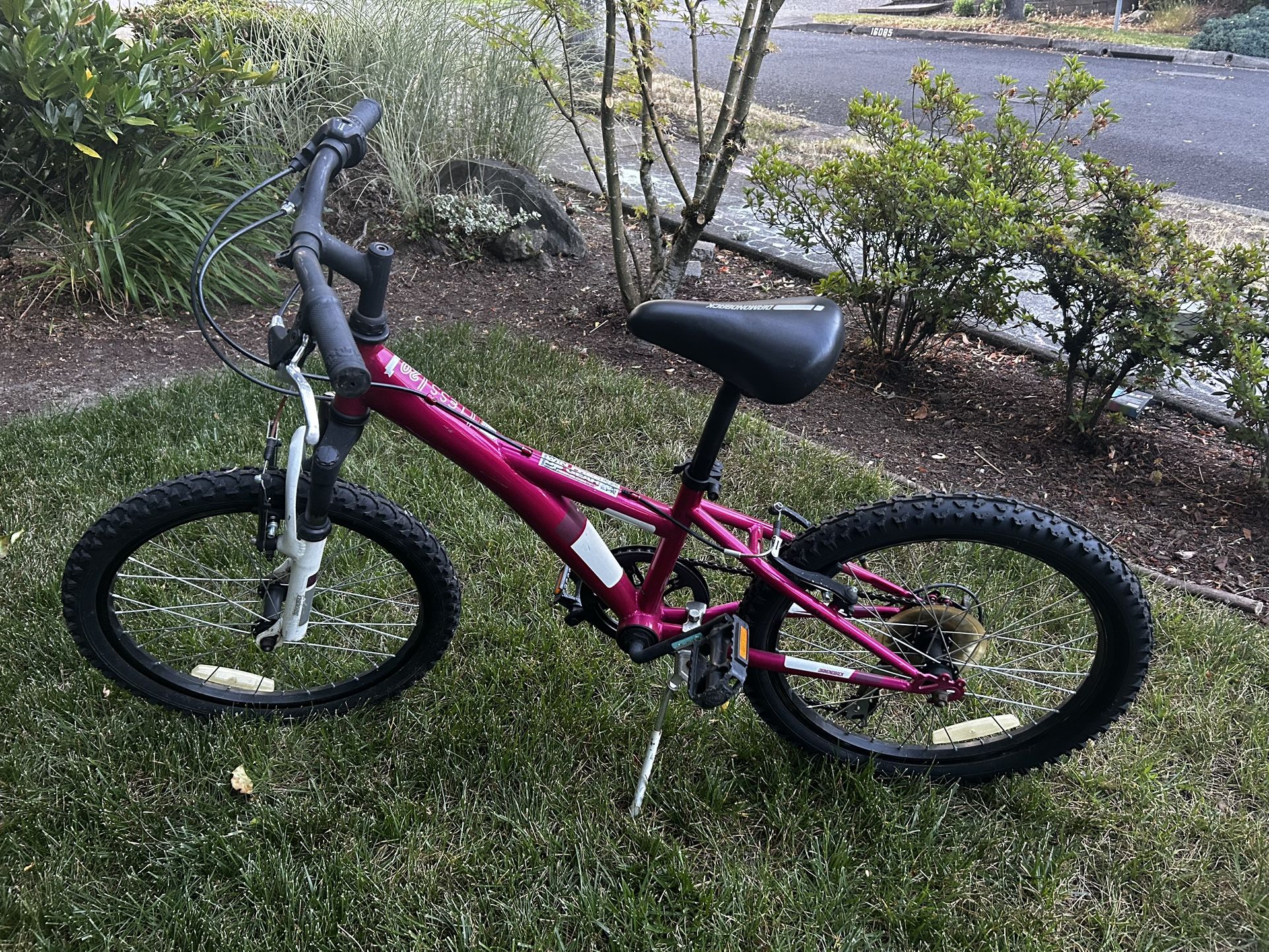 Girls mountain bike 20” Pink