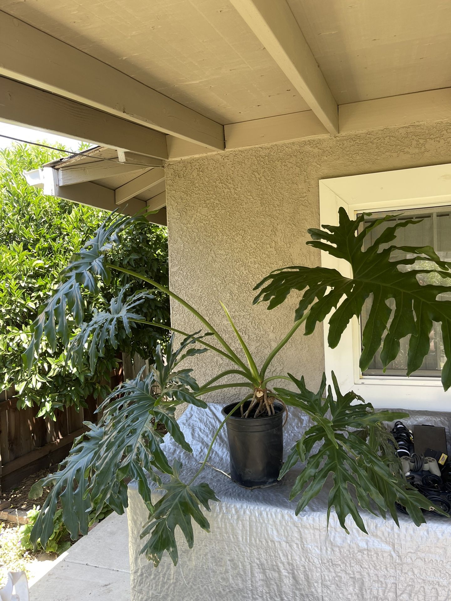 Outside Plant