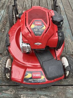 Toro Recycler 22” SmartStow with a 163cc Briggs & Stratton 7.25 engine.