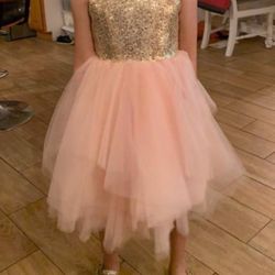 6 Y Gold Sequin Pink Tutu Dress 
