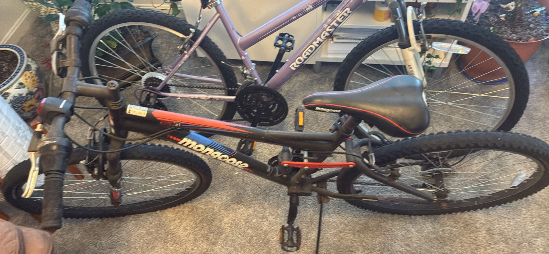 Bikes For Sale 
