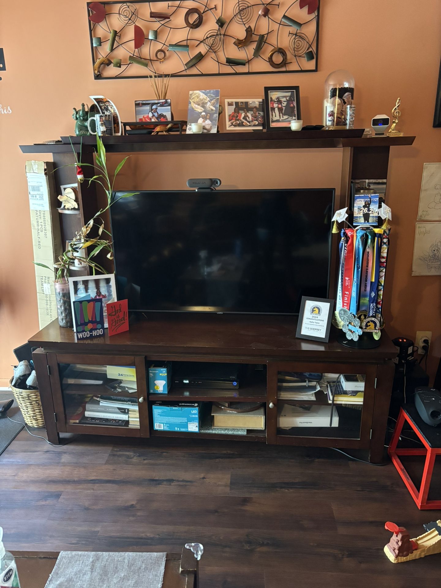TV Storage hutch