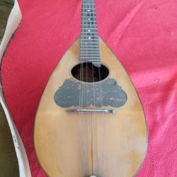 Vintage Washburn