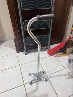 Cane