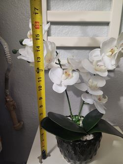 Fake plant.