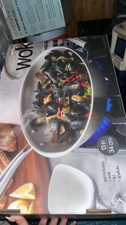 Miu Wok Stainless Steel Finish