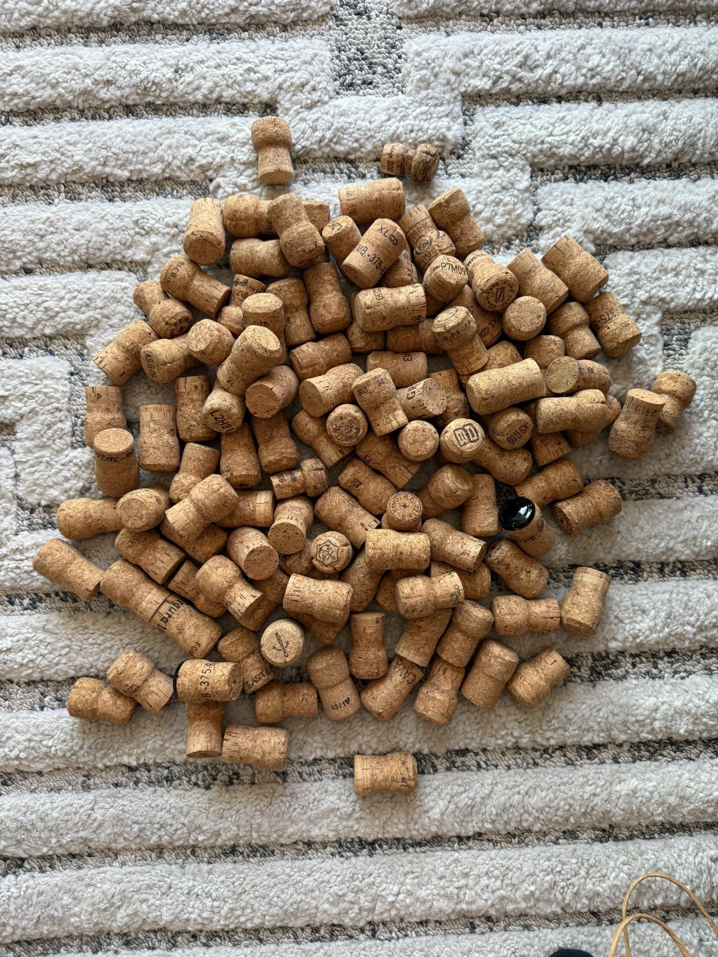 Champagne Corks - 66 