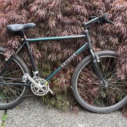 Authier Mtn Bike