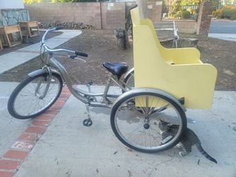 Schwinn Adult Tricycle With Child Seat