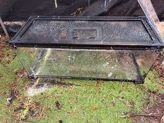 Reptile enclosure