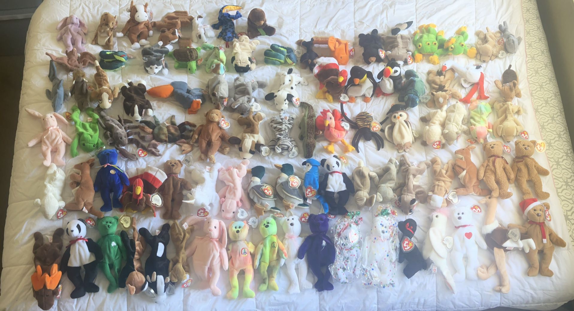 Ty Beanie Babie Collection