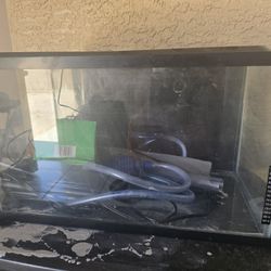 10 Gallon Fish Tank 