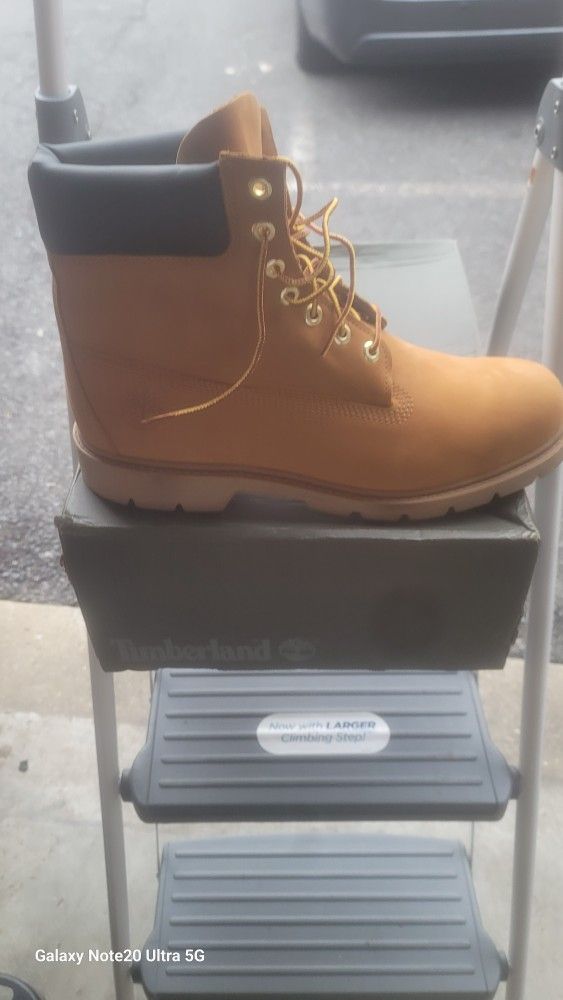 Timberland Shiư