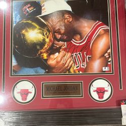 Signed Micheal Jordan Picture