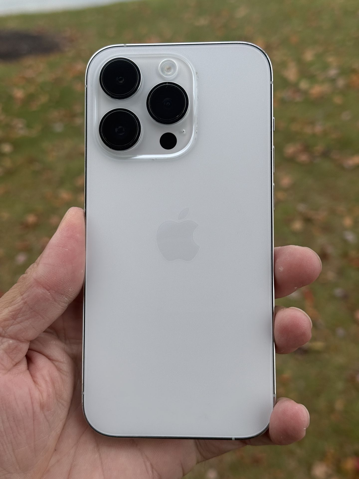 Unlocked iPhone 14 Pro 256GB Silver