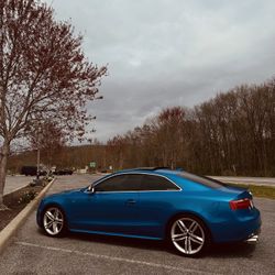 2009 Audi S5