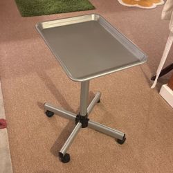 Salon Tray On Wheels