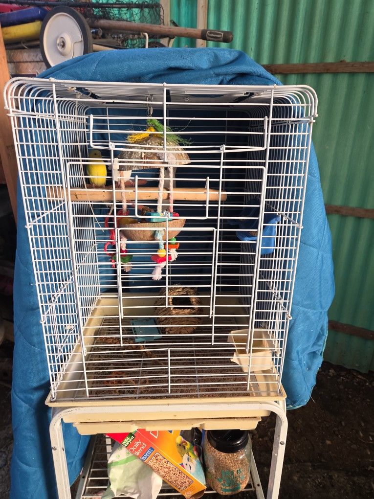 Bird Cage