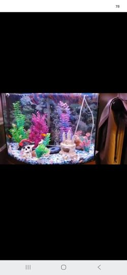 Fish Tank 
Bow front aquarium combo set