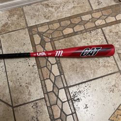 Cat baseball bat