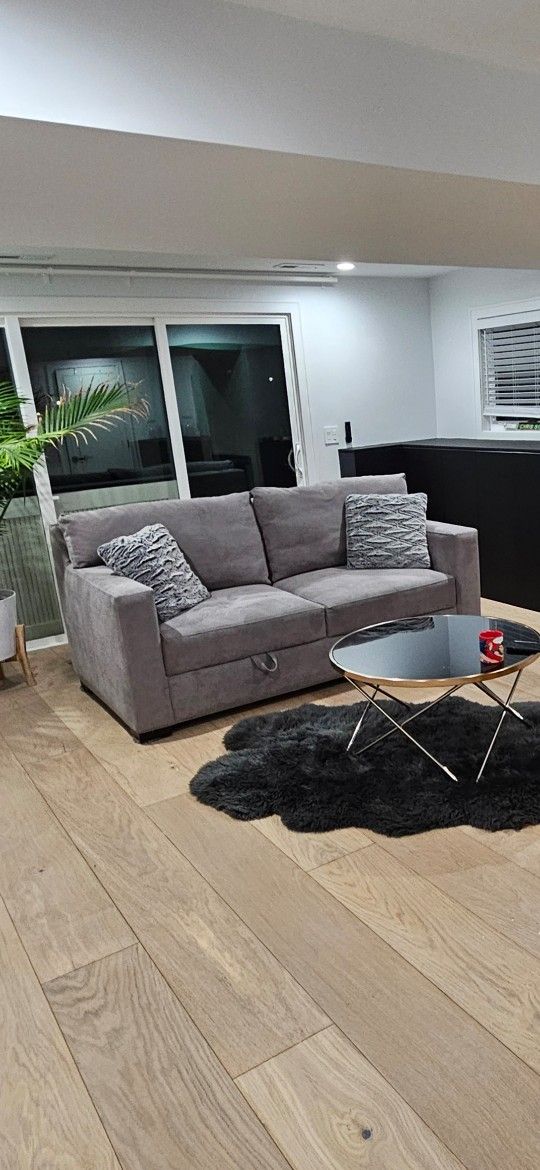 Create &Barrel queen sleeper sofa