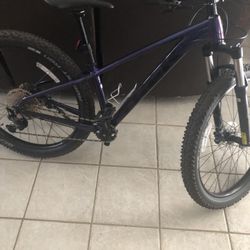 2021 Like New Trek Roscoe Mountain Bike XS, 2” Mt. Tires; Deore Components; 10 Speed