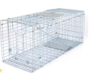 Live animal trap