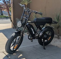 G90 E bike 1000 watts 2 seater