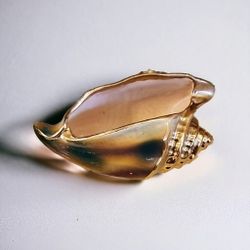 Vintage Hand Painted 25-K Shell Ornament Or Planter 