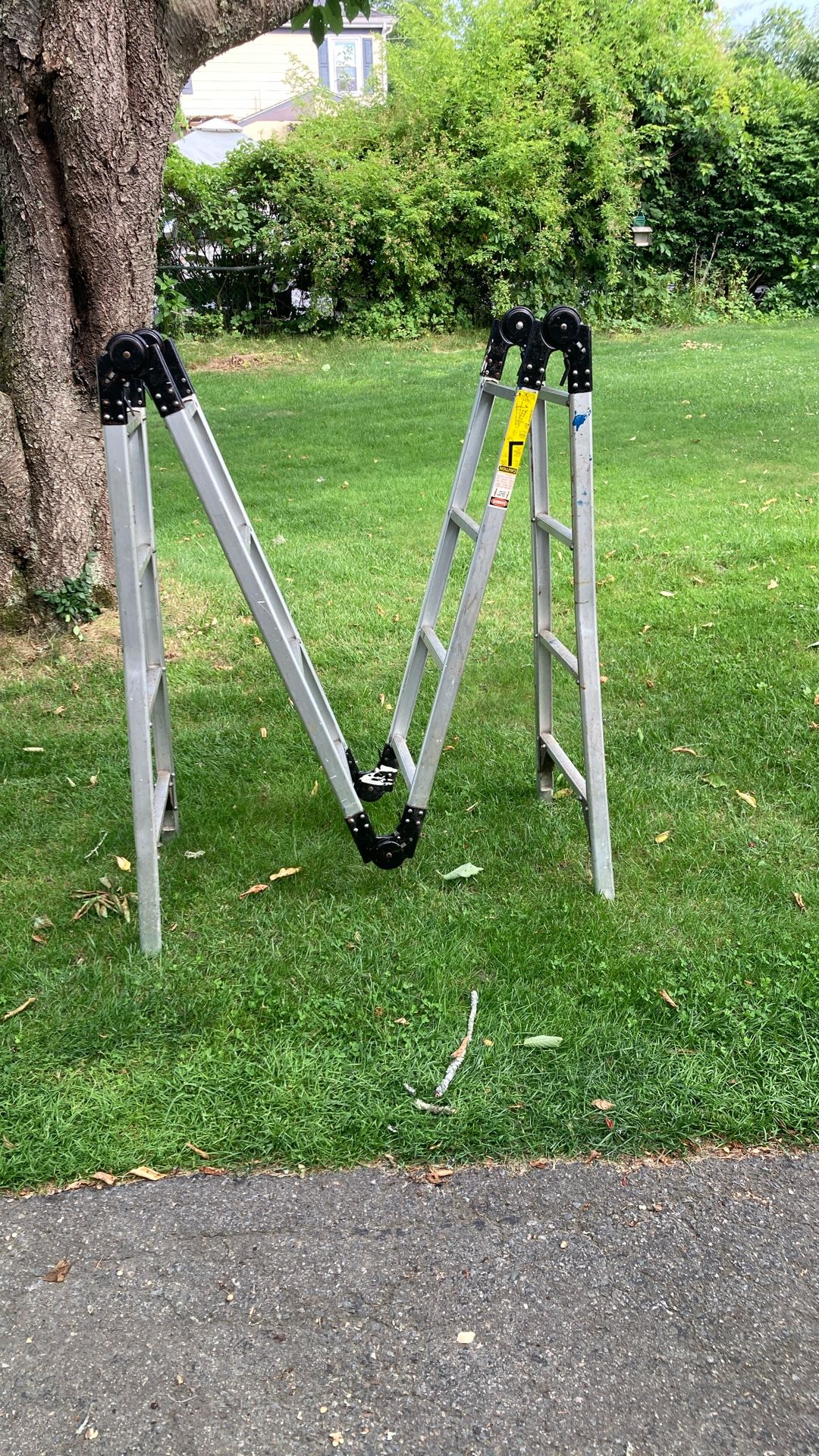 Collapsible ladder