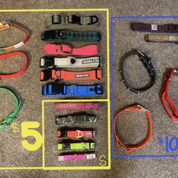 DOG SUPPLIES COLLARS LEASH HARNESS 