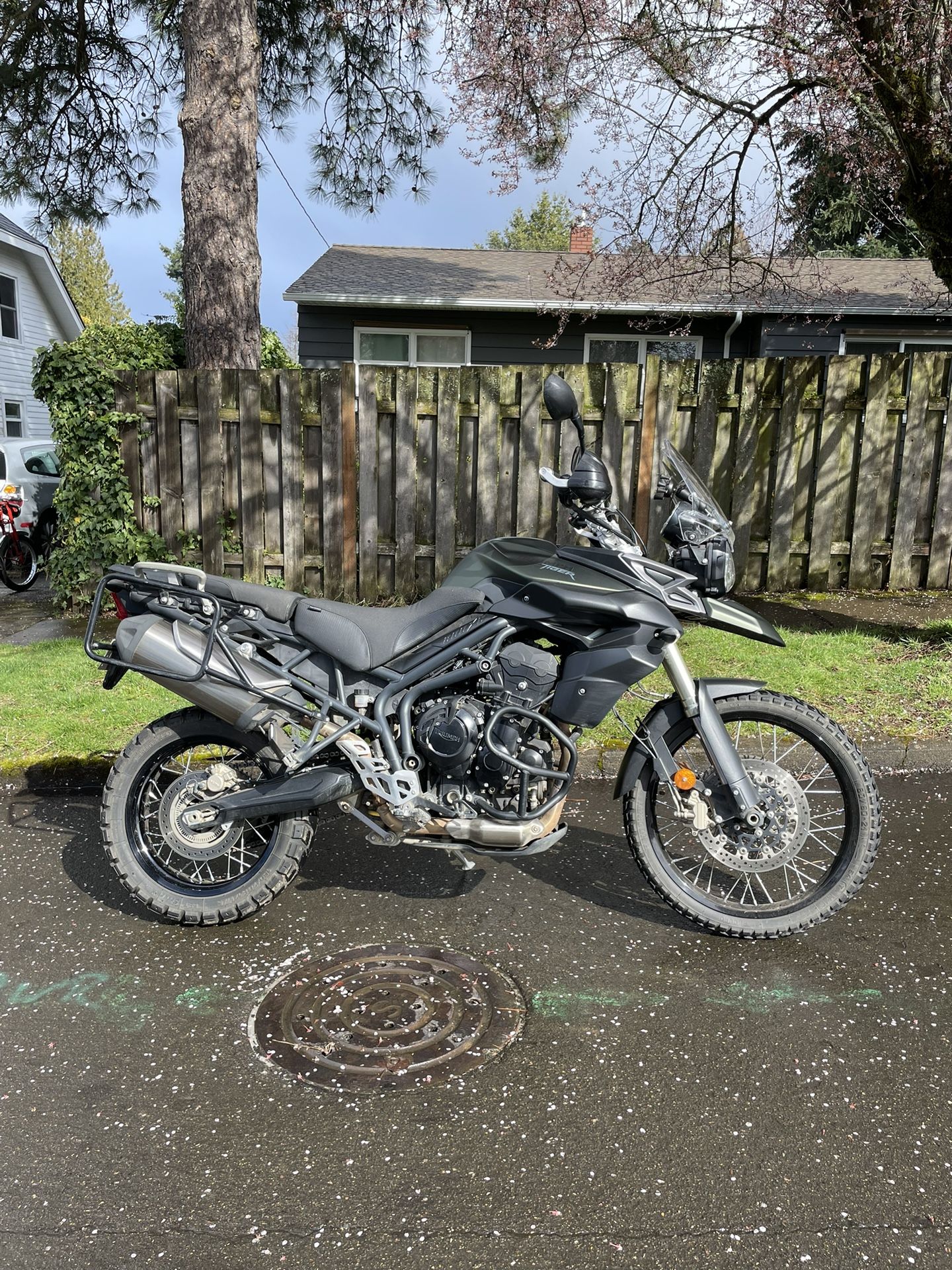 2013 Triumph Tiger