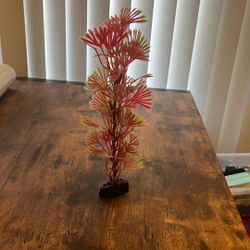fake aquarium plant 