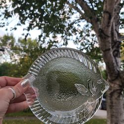 Glass Fish Plate