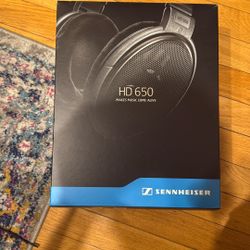 Sennheiser 650 open back Headphones.