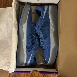 Nike Sb Ishod 