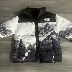The North Face 700 Puffer