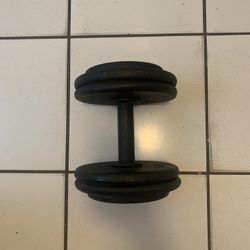 Single 55 Pound Dumbbell