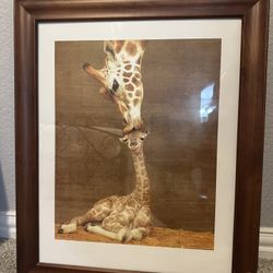 Adorable Giraffe🦒 Kiss Framed Picture 