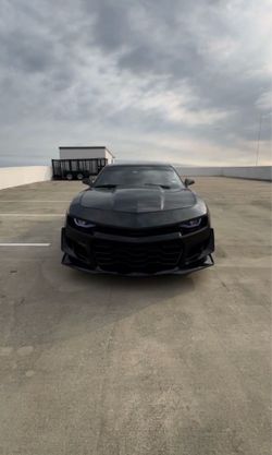 Camero