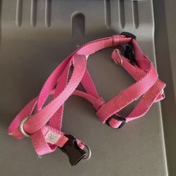 Dog Leash