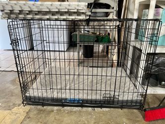 Large dog crate