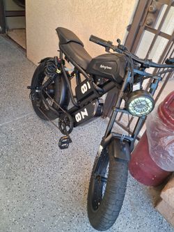 Z8 Pro Dual battery 48v